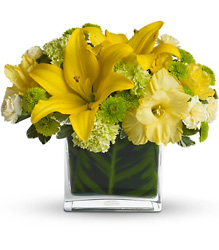 Oh Happy Day by Teleflora from Brennan's Florist and Fine Gifts in Jersey City